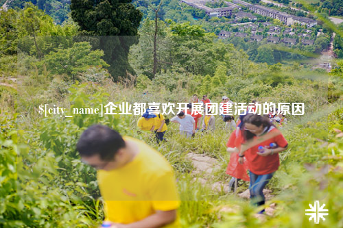 德宏企业都喜欢开展团建活动的原因